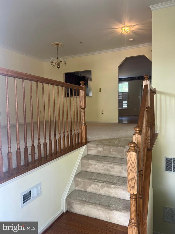 6632 Duncan Pl in Frederick, MD - Building Photo - Building Photo