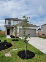 131 Wild Wind Cv in Jarrell, TX - Building Photo