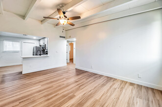 3630 N 15th Ave in Phoenix, AZ - Building Photo - Interior Photo