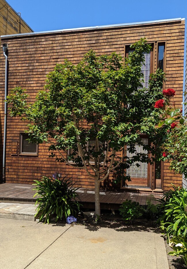 1658 Filbert St in San Francisco, CA - Foto de edificio - Building Photo