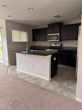 5051 Cactus Needle Ln in Wesley Chapel, FL - Building Photo - Building Photo