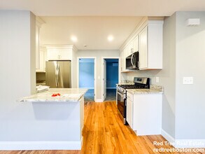 58 Chestnut St in Chelsea, MA - Building Photo - Building Photo