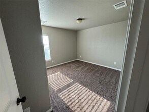1003 Coconut Cove in Hutto, TX - Building Photo - Building Photo