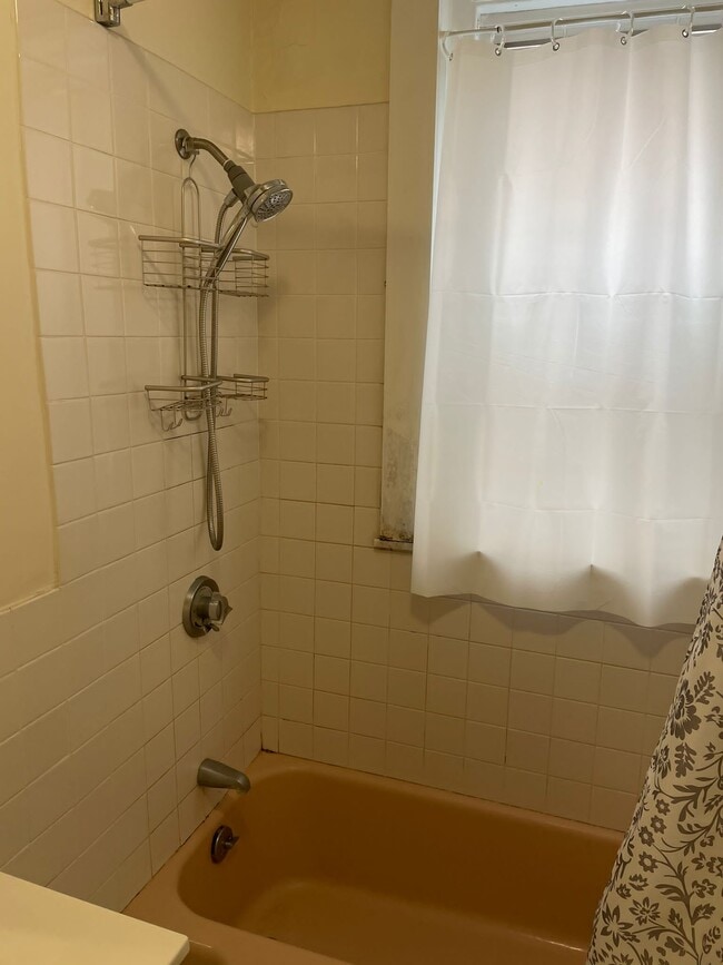 269 Harvard St, Unit 21 in Cambridge, MA - Building Photo - Building Photo