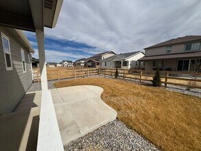 981 Sandhills St in Windsor, CO - Building Photo - Building Photo