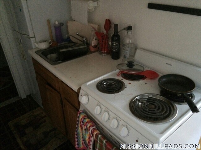 55 S Huntington Ave, Unit 203 in Boston, MA - Foto de edificio - Building Photo