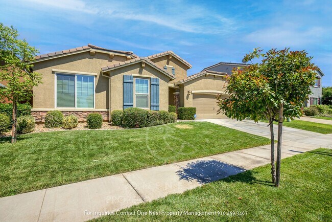 209 Livorno Pl in Lincoln, CA - Building Photo - Building Photo