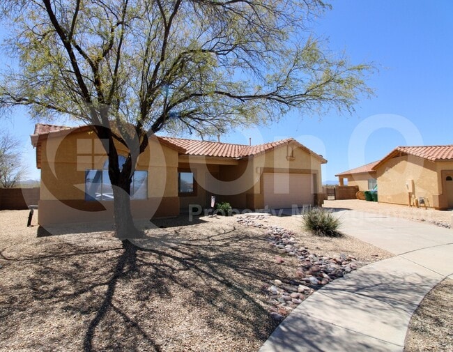 property at 6780 S Via Molino De Viento