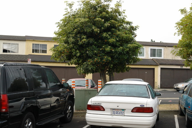 975 Sandra Ct in South San Francisco, CA - Foto de edificio - Building Photo