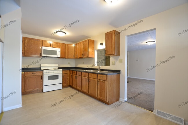 215 N Broadway St in Joliet, IL - Building Photo - Building Photo