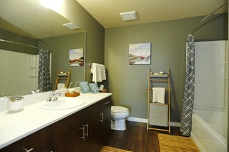 Elan Redmond in Redmond, WA - Foto de edificio - Interior Photo