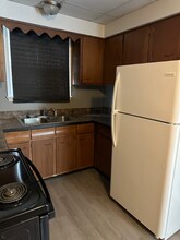 233 N Chestnut St in Lansing, MI - Building Photo - Building Photo