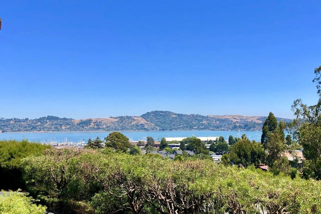 31 Anchorage Rd in Sausalito, CA - Building Photo