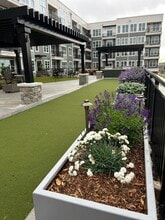 BellaAge Hickory Active Adult 55+ in Hickory, NC - Foto de edificio - Building Photo