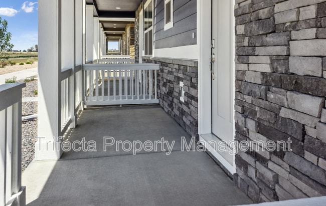 628 Thoroughbred Ln in Johnstown, CO - Building Photo - Building Photo