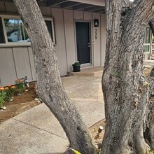 777 Neptune Ave in Encinitas, CA - Building Photo - Building Photo