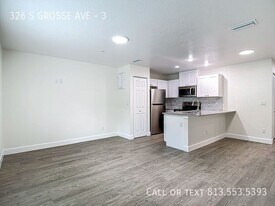326 S Grosse Ave in Tarpon Springs, FL - Building Photo