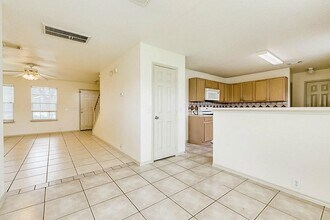 19323 Colony Grove Ln in Katy, TX - Building Photo - Building Photo