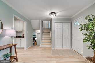 5223 Tooley Ct in Fairfax, VA - Building Photo - Building Photo