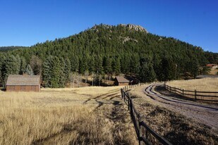 6080 Kinney Creek Rd in Evergreen, CO - Building Photo