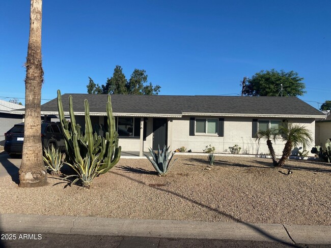 816 E Seldon Ln in Phoenix, AZ - Building Photo - Building Photo