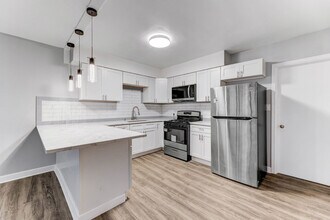405 S Maple Ave in Oak Park, IL - Building Photo - Building Photo