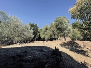 20 Luna Ln in San Anselmo, CA - Building Photo - Building Photo