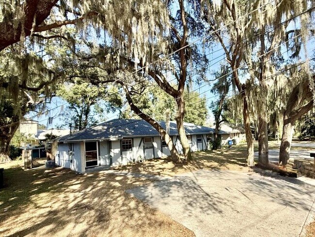 1339 Eagleview Dr in Brandon, FL - Building Photo - Building Photo