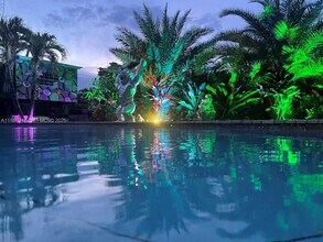 250 NE 158th St in Miami, FL - Building Photo - Building Photo