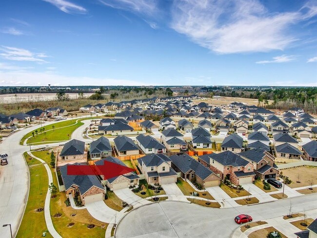 16446 Rosary Pea Pl in Conroe, TX - Foto de edificio - Building Photo