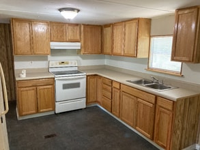 20504 Spanish Ln in Land O Lakes, FL - Foto de edificio - Building Photo