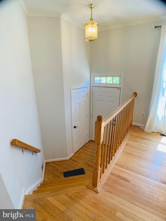 property at 10496 Courtney Dr