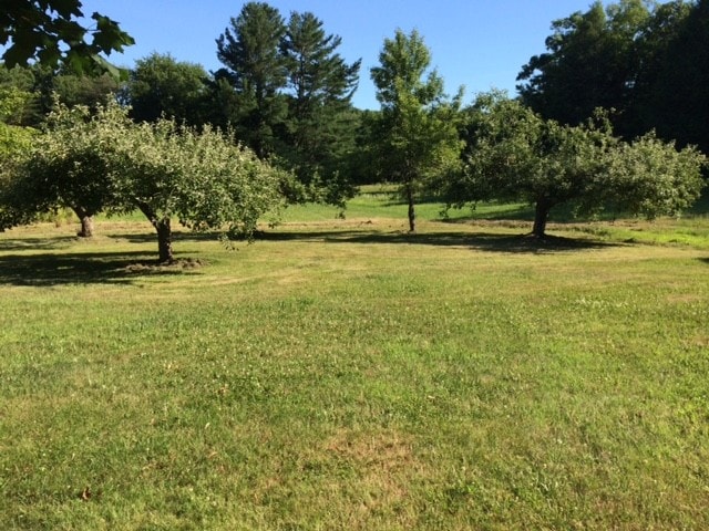 373 Meadow Rd in Farmington, CT - Building Photo - Building Photo