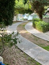 1143 E Sandpiper Dr, Unit 106 in Tempe, AZ - Building Photo - Building Photo