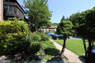 20404 Shadow Oak Ct in Gaithersburg, MD - Building Photo - Building Photo