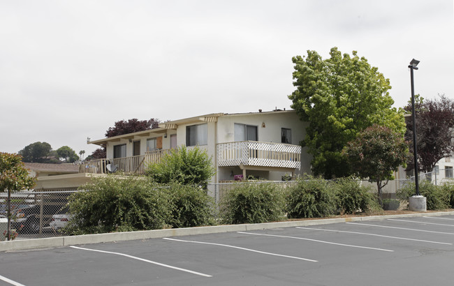 141 Maher Ct in Vallejo, CA - Foto de edificio - Building Photo