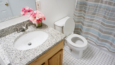 41 Walnut St, Unit 44 in Waltham, MA - Building Photo - Building Photo