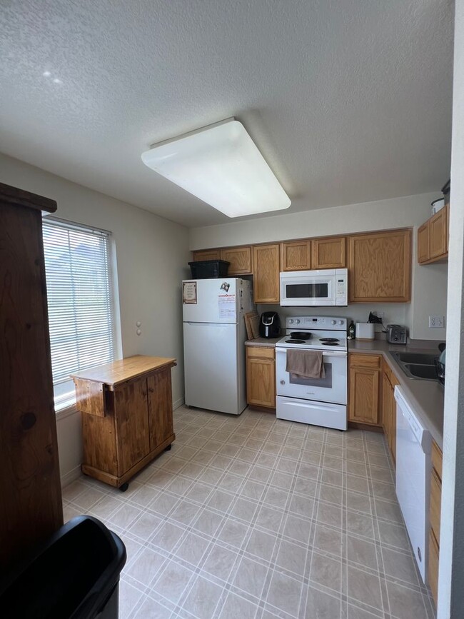 6814 Antigua Dr in Fort Collins, CO - Building Photo - Building Photo