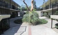 Moongate Apartments in Downey, CA - Foto de edificio - Building Photo