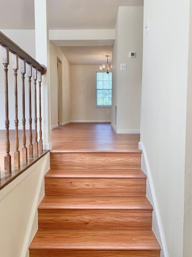 15905 Indian Hills Terrace in Rockville, MD - Foto de edificio - Building Photo