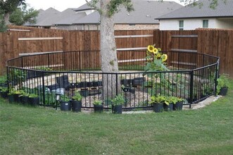 2316 Bravo Pass in Leander, TX - Building Photo - Building Photo