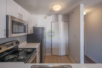 454 E Ohio St in Chicago, IL - Foto de edificio - Building Photo