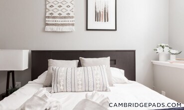 7 Story St, Unit B in Cambridge, MA - Building Photo - Building Photo