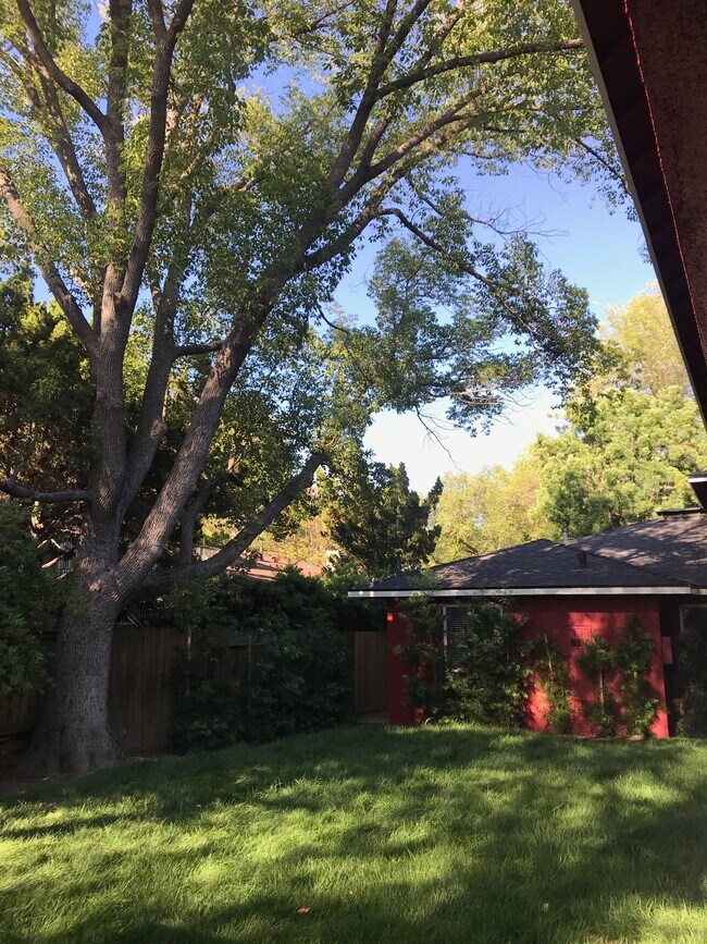 83 S Daisy Ave Apartments and Nearby Pasadena Apartments For Rent