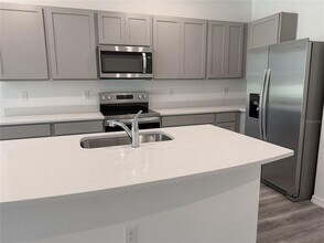 11372 Velvet Apricot Dr in Land O Lakes, FL - Building Photo - Building Photo