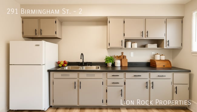 291 Birmingham St in St. Paul, MN - Building Photo - Building Photo