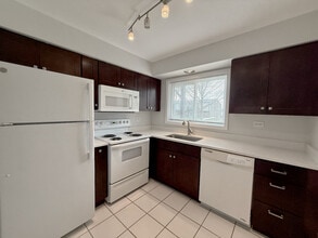 337 N Carter St in Palatine, IL - Building Photo - Building Photo