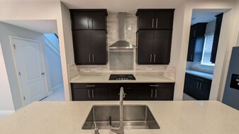 11602 Ashlin Park Blvd in Windermere, FL - Building Photo