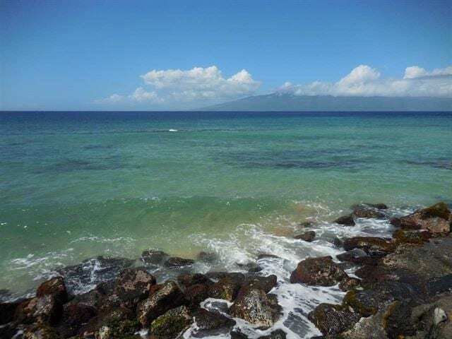 3785 Lower Honoapiilani Rd, Unit 317 in Lahaina, HI - Building Photo - Building Photo