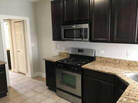 4004 Hamlin N Ave, Unit 2S in Chicago, IL - Building Photo